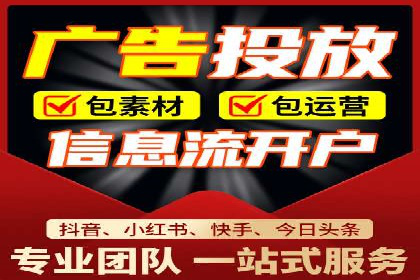 专业SEM运营托管服务案例分析